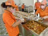Cung cấp suất ăn công nghiệp gần đây